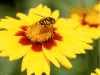 Captcha image 1067
